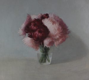 Astereita. Kyyhkynharmaa asetelma XI.
