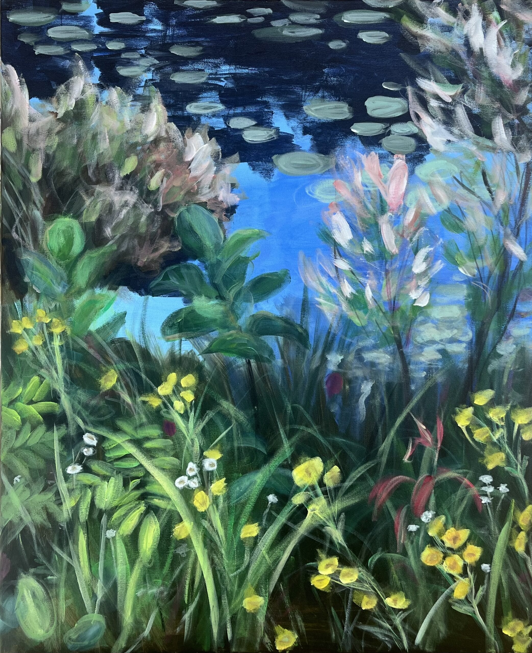 Rehevää kasvillisuutta ja lumpeita veden äärellä.