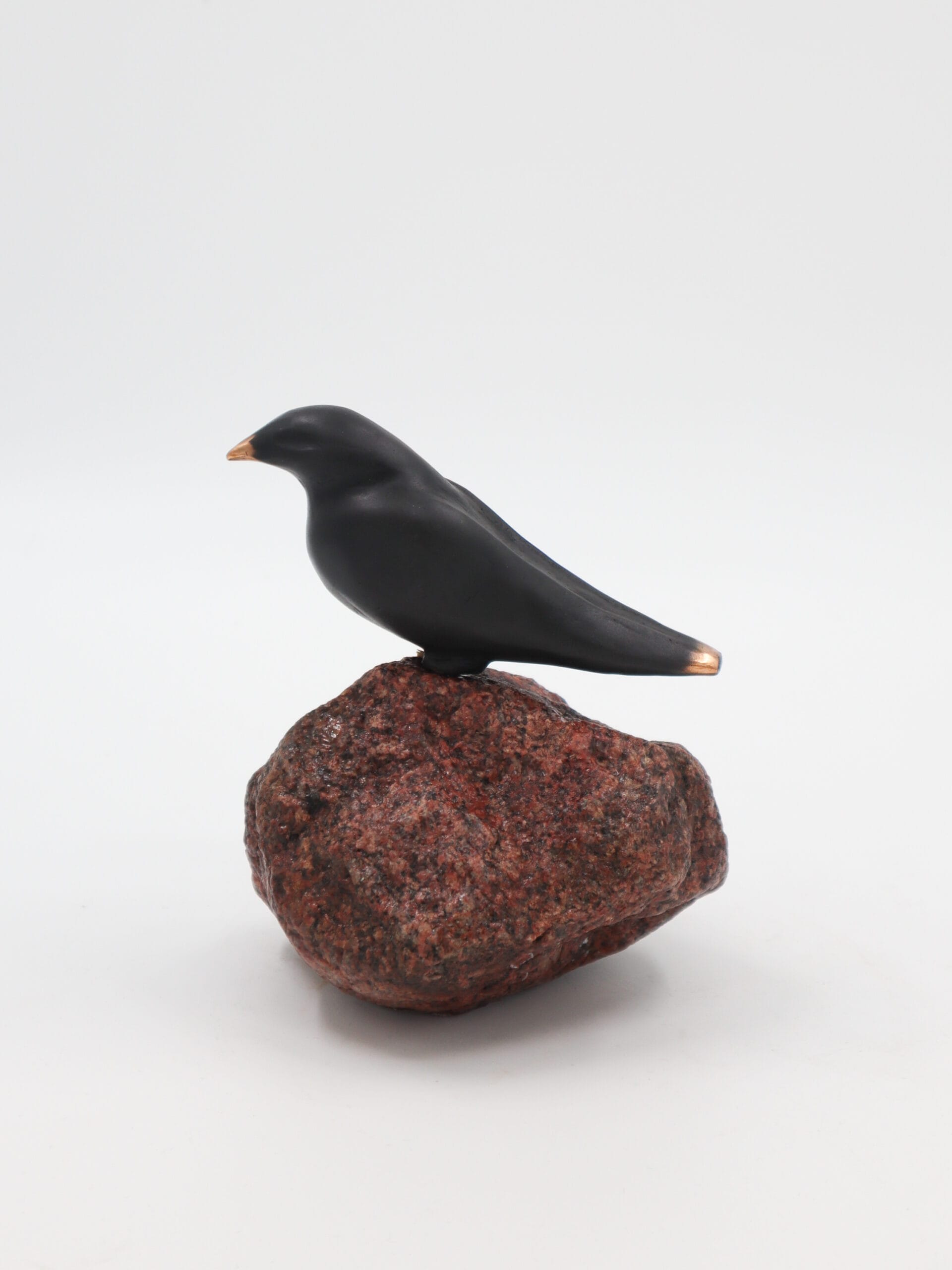 Musta lintu patsas, punaisella kivellä.