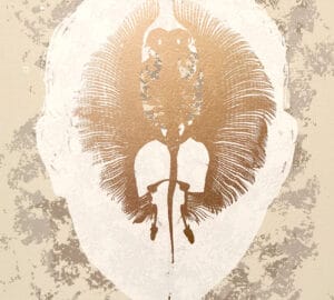Meditation III