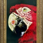 Kuvakehystetty värikäs papukaija maalaus