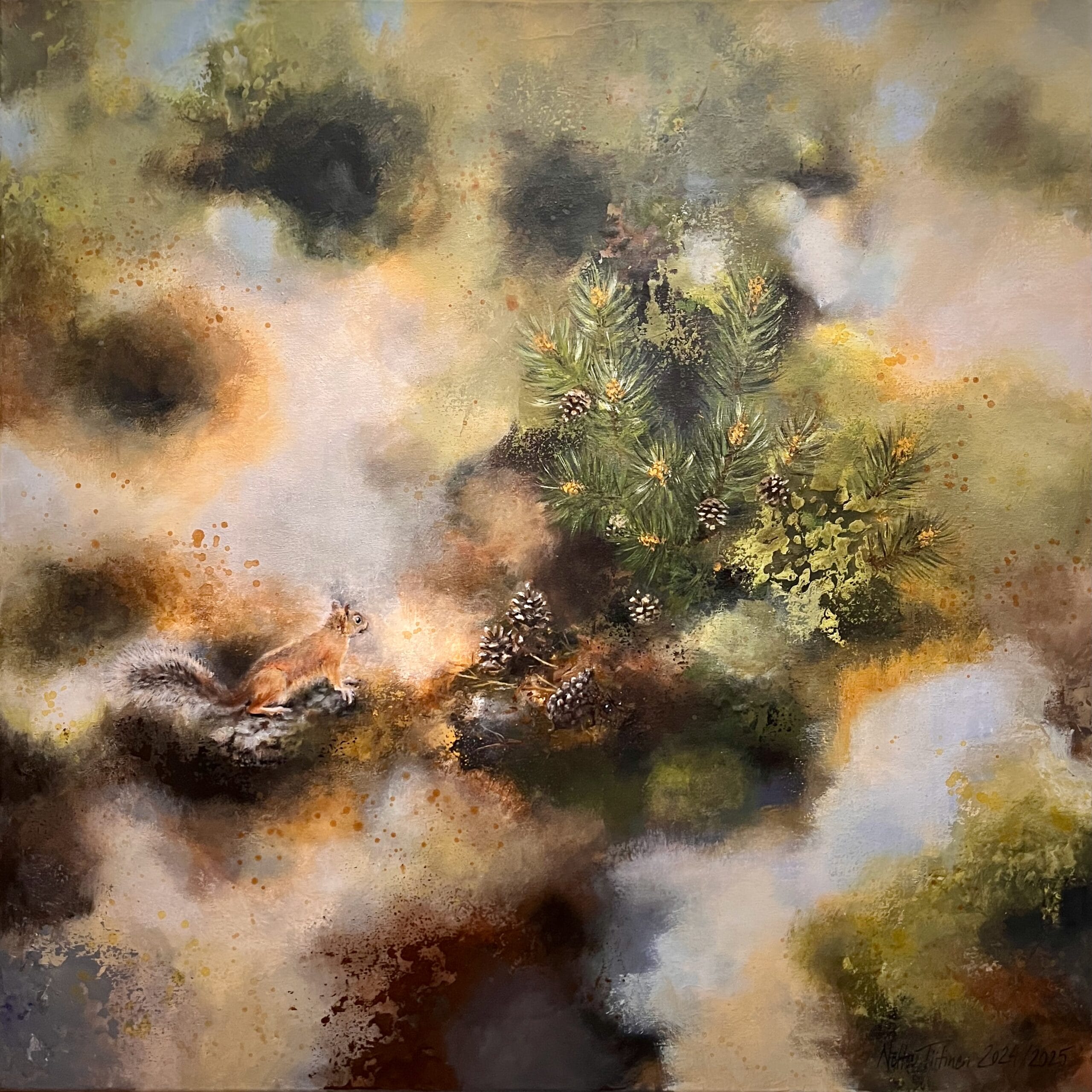 Orava metsä maisemassa, havupuut ja kävyt