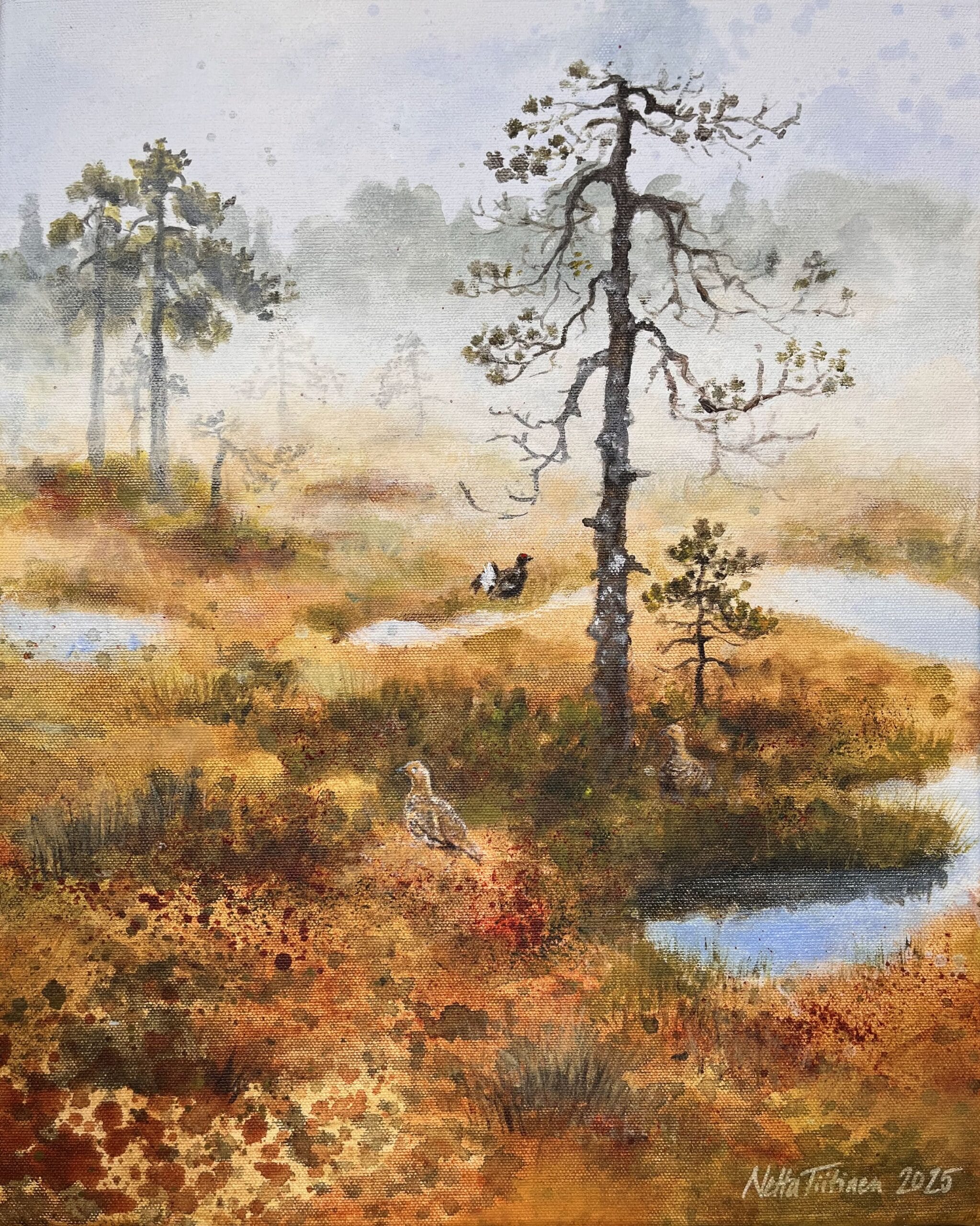 Suometsän syksymaisema sumuisena aamuna