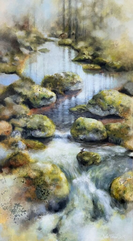 Metsäpuro kivikkoinen, sumuinen metsä maisema