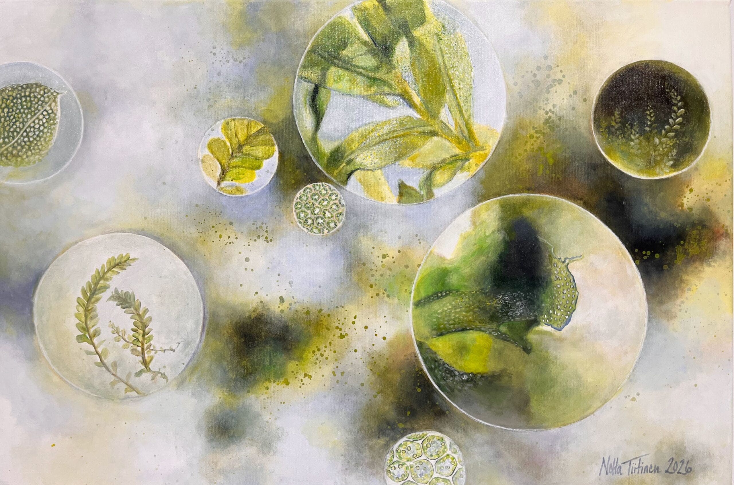 Luonnon kasvit mikroskoopin linssien läpi