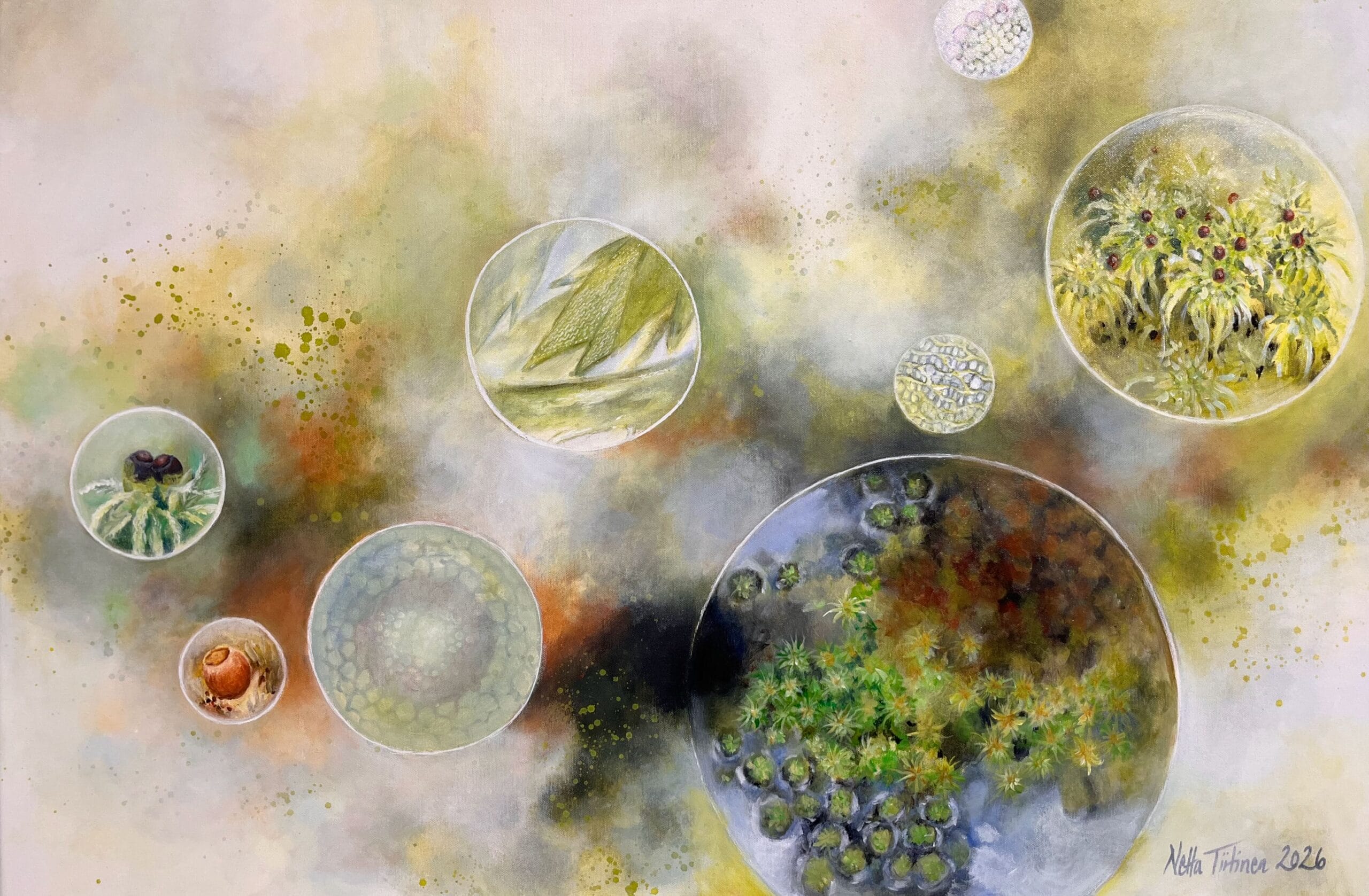 Abstrakti värikäs maalaus, luontoaiheiset ympyrät taustalla.