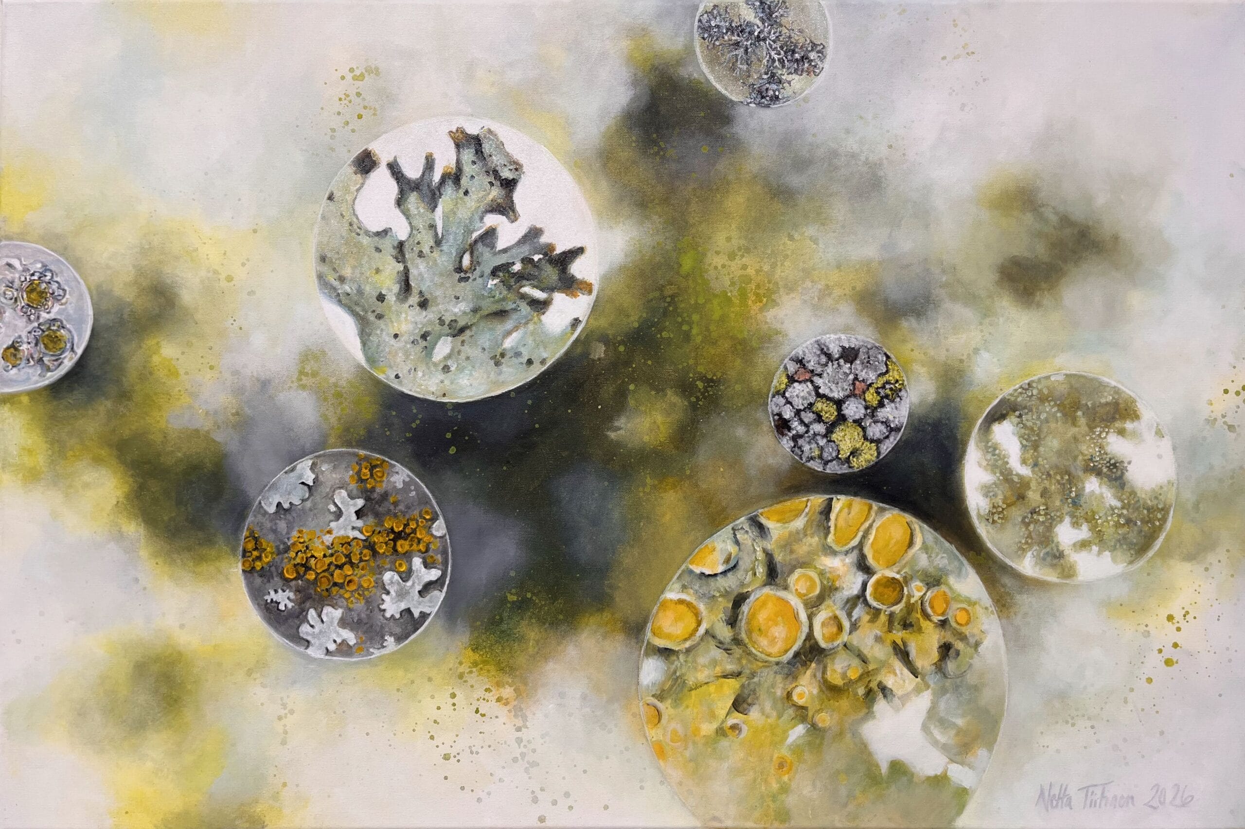 Värikäs taideteos sammaleista ja lichenistä abstraktissa tyyliin.