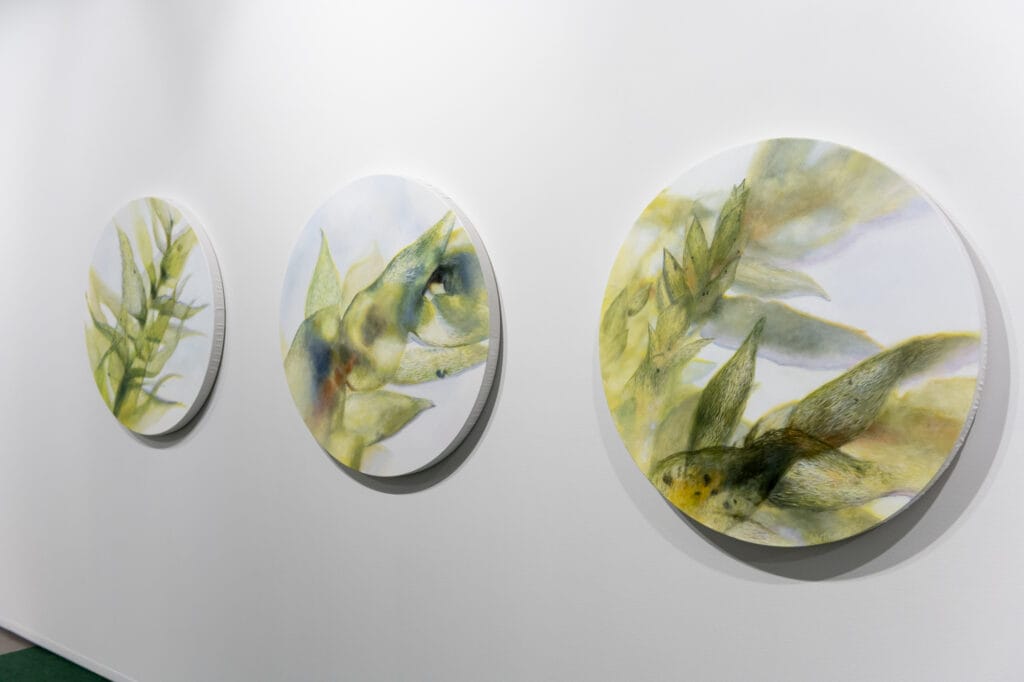 Kolme pyöreää maalattua kasvia taideteoksessa seinällä.