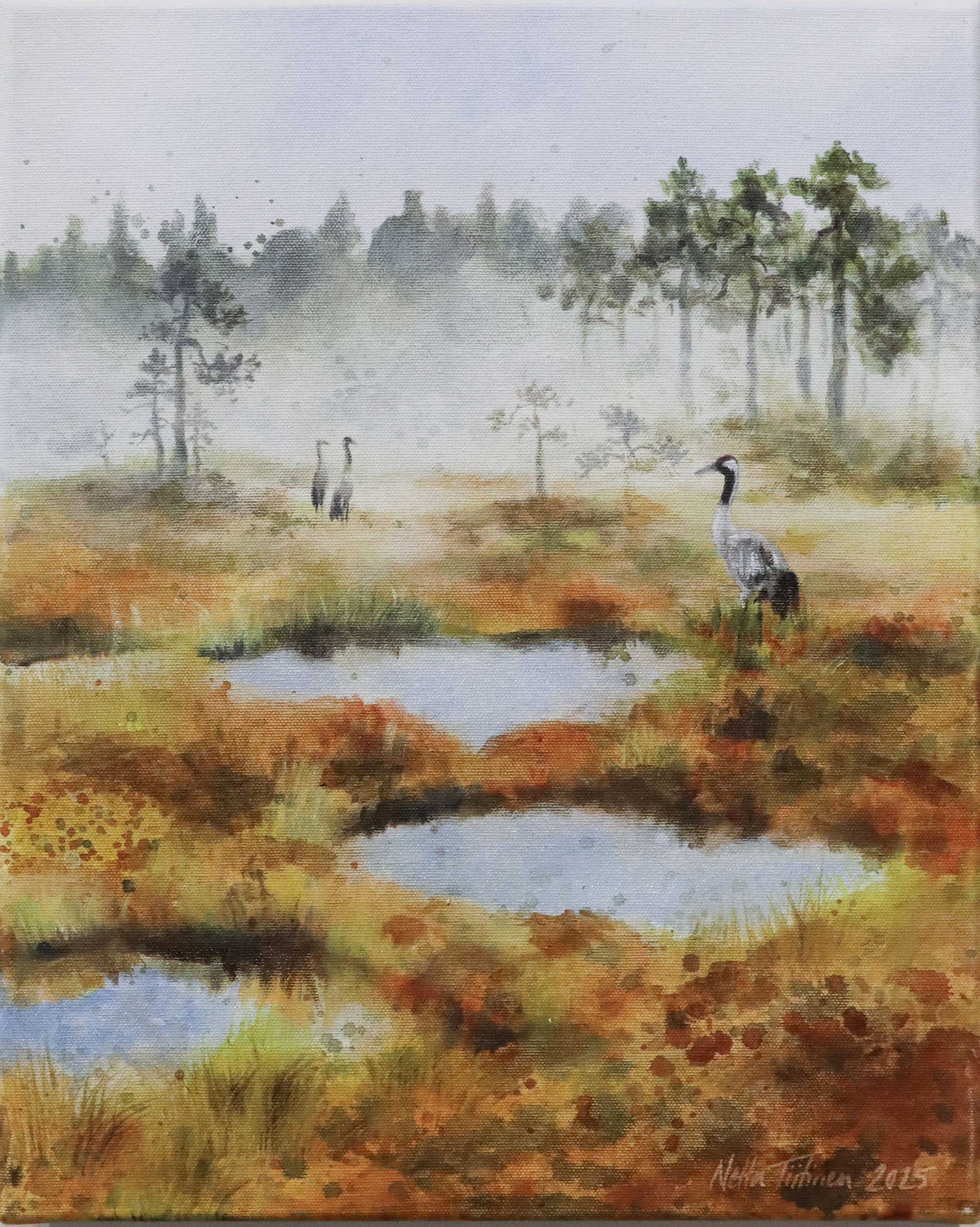 Kuutamomaisema kurkien kanssa suolla