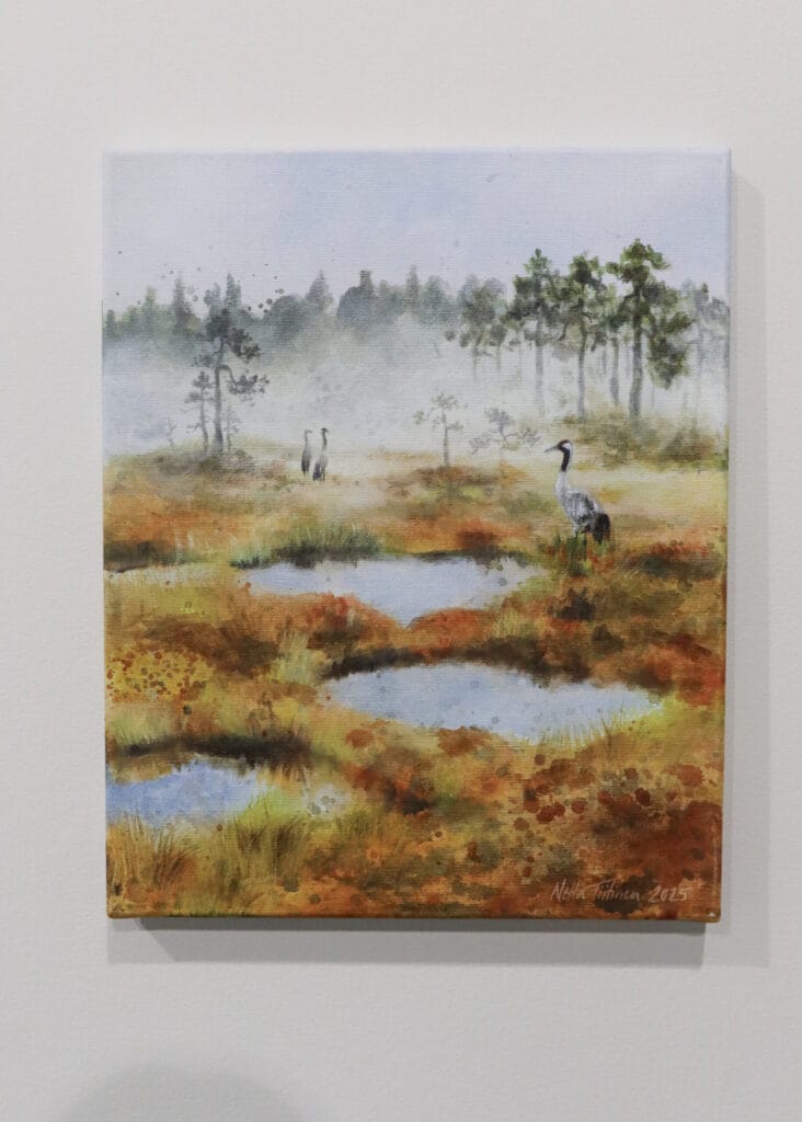 Kurjet sumuisella suolla