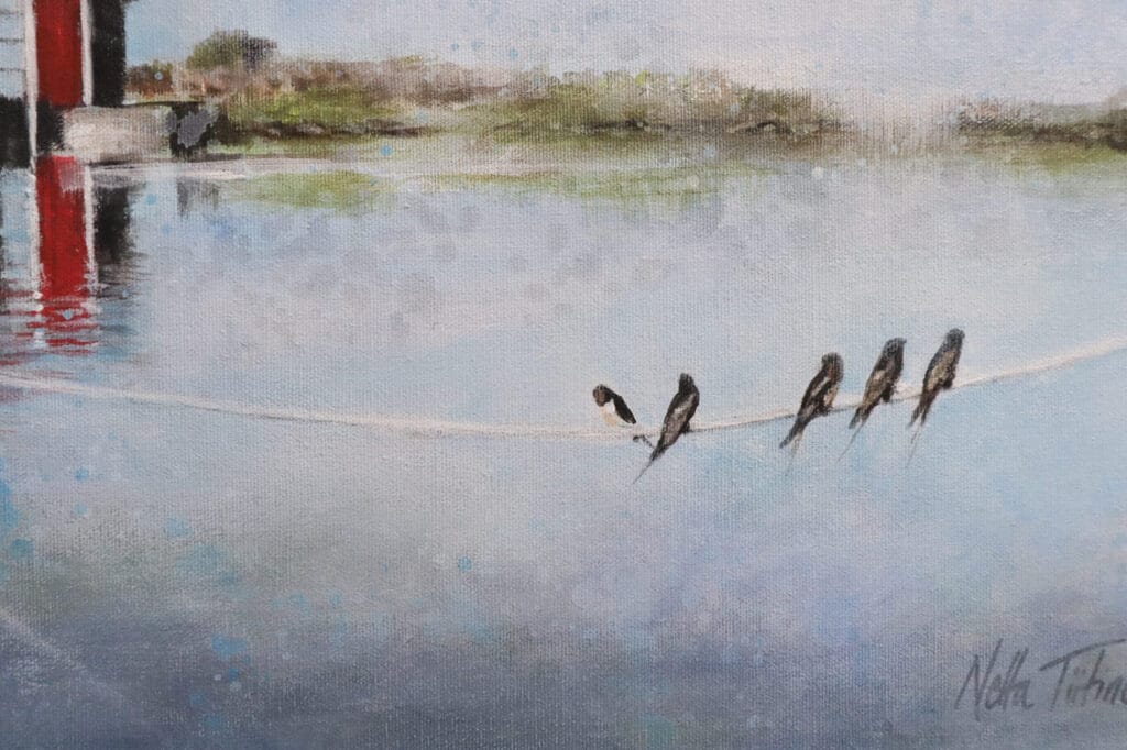 Viisi lintua langalla järvimaisemassa