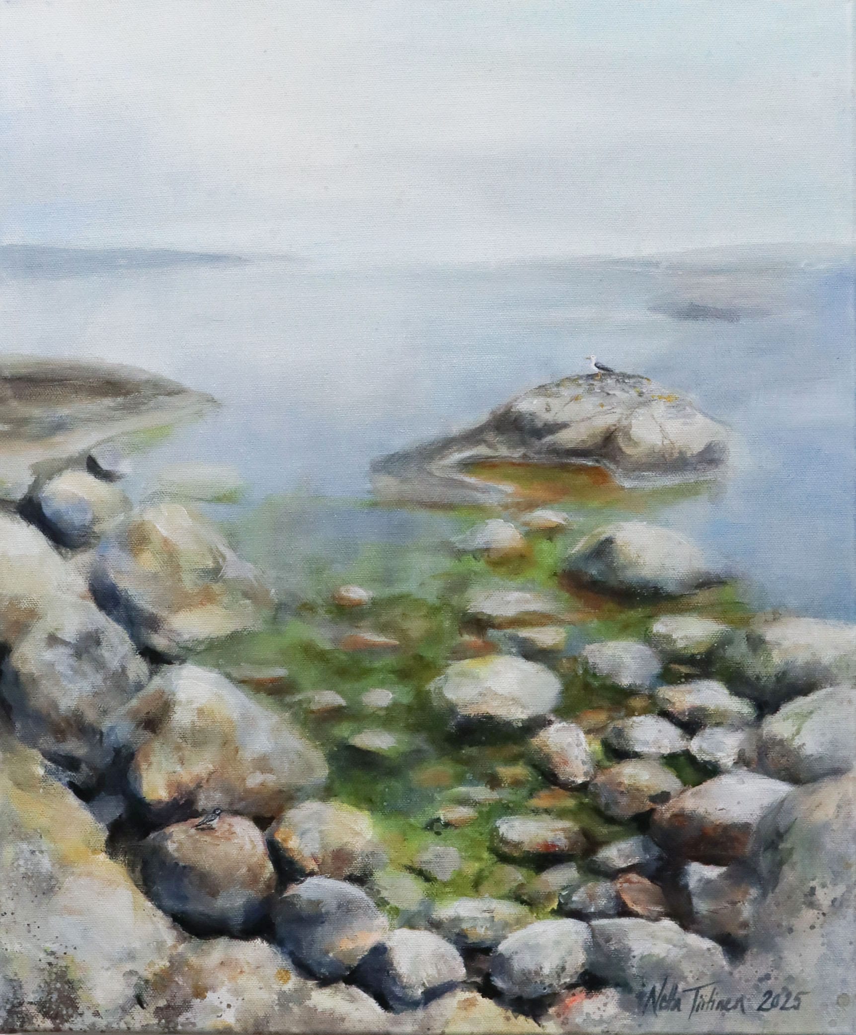 Maisemamaalaus rannasta kivillä